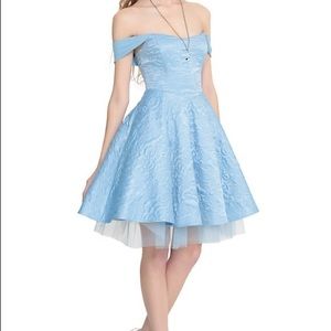 Limited Edition Cinderella Ball Gown